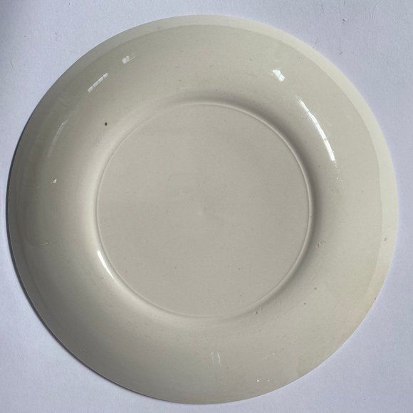 Vintage Tennessee Souvenir State Plate - Picture 11 of 11